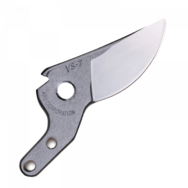 ARSVS-X-2