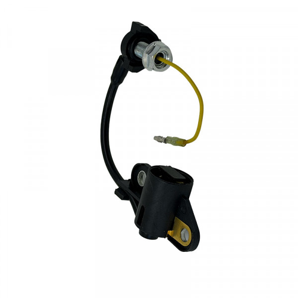 Switch assembly, oil level