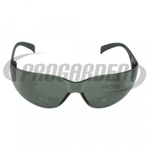 Lunettes VIRTUA (coloris : gris)